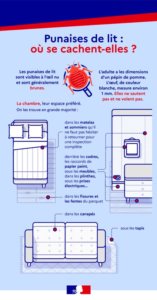 Comment reconnaître les punaises de lits